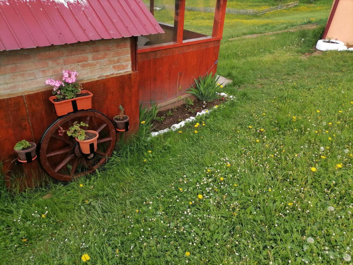 Cabana Daria Otel Gîrda de Sus Dış mekan fotoğraf