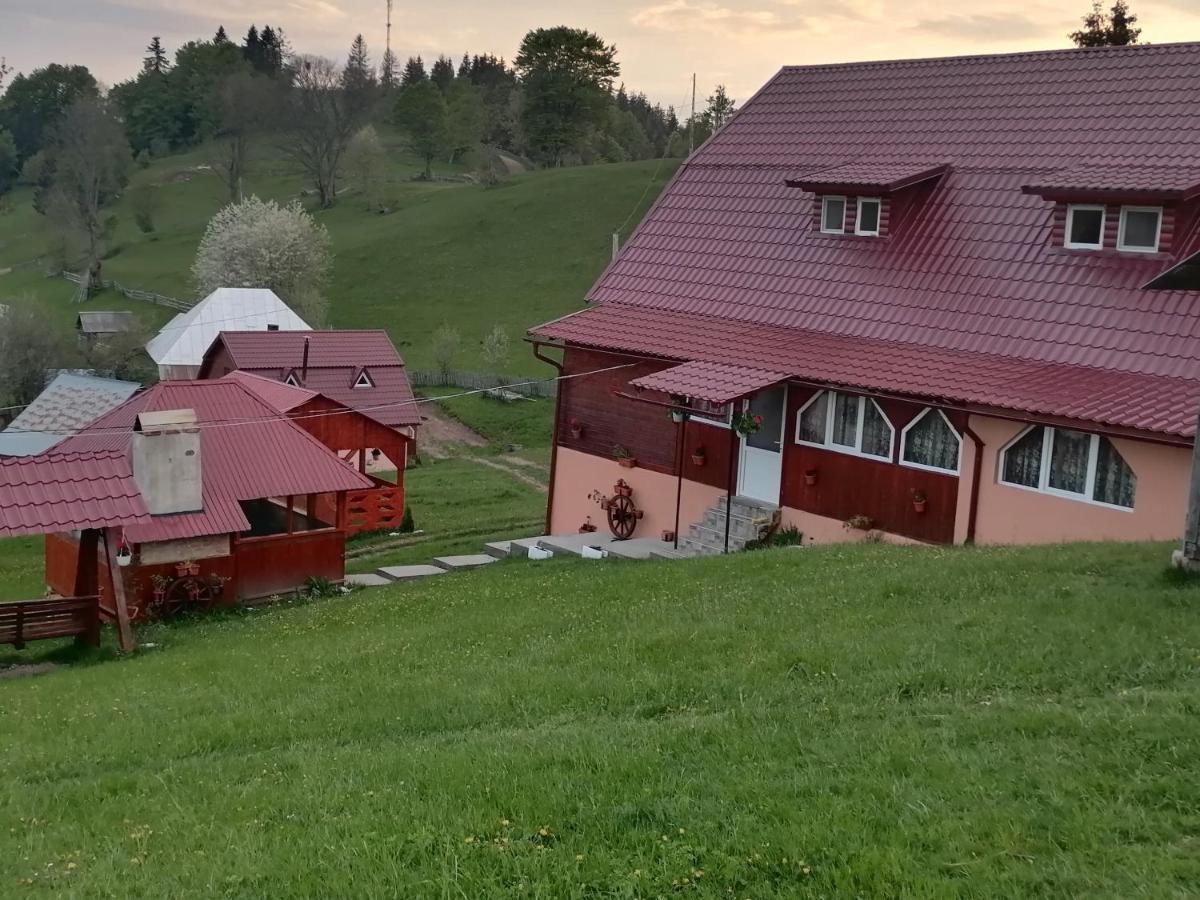 Cabana Daria Otel Gîrda de Sus Dış mekan fotoğraf